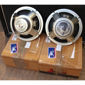 A pair (2pc) of THD Electronics Custom Longhorn Series 10´´ speaker 8ohm 30W, be