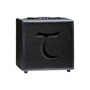 Tanglewood T6 60W Acoustic Amp med gigbag